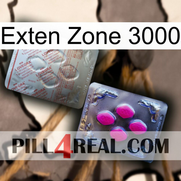 Exten Zone 3000 38.jpg